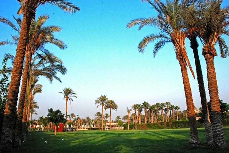 Sakkara Country Club Hotel El Hawamdeya Exteriör bild