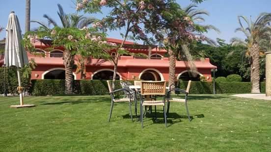 Sakkara Country Club Hotel El Hawamdeya Exteriör bild