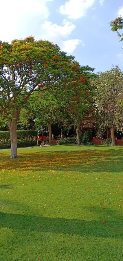 Sakkara Country Club Hotel El Hawamdeya Exteriör bild
